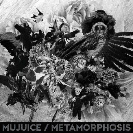 Mujuice – Metamorphosis (2014)