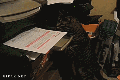 cat-vs-printer-animated-gif-3