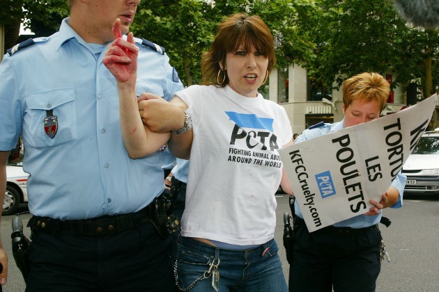 музыканты - защитники животных Крисси Хайнд арест пикет KFC в Париже PETA