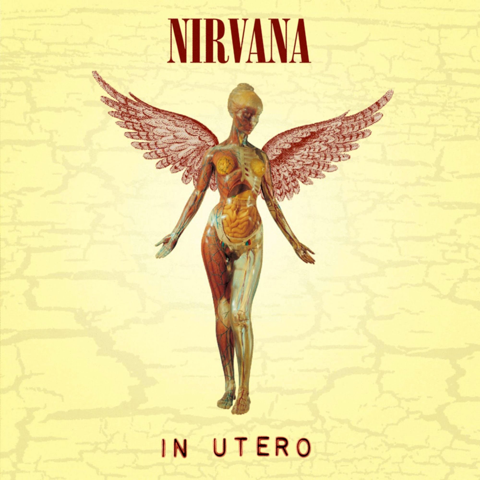 Обложки Альбомов | Nirvana – In Utero (1993) - Роккульт