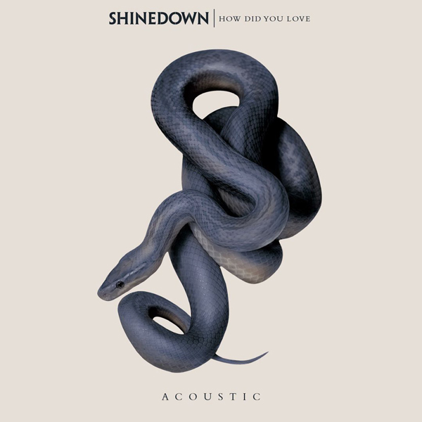 Shinedown — How Did You Love (2017)