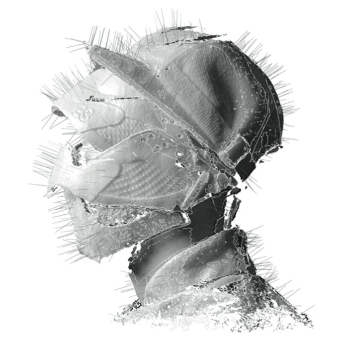 Woodkid — The Golden Age (2013)