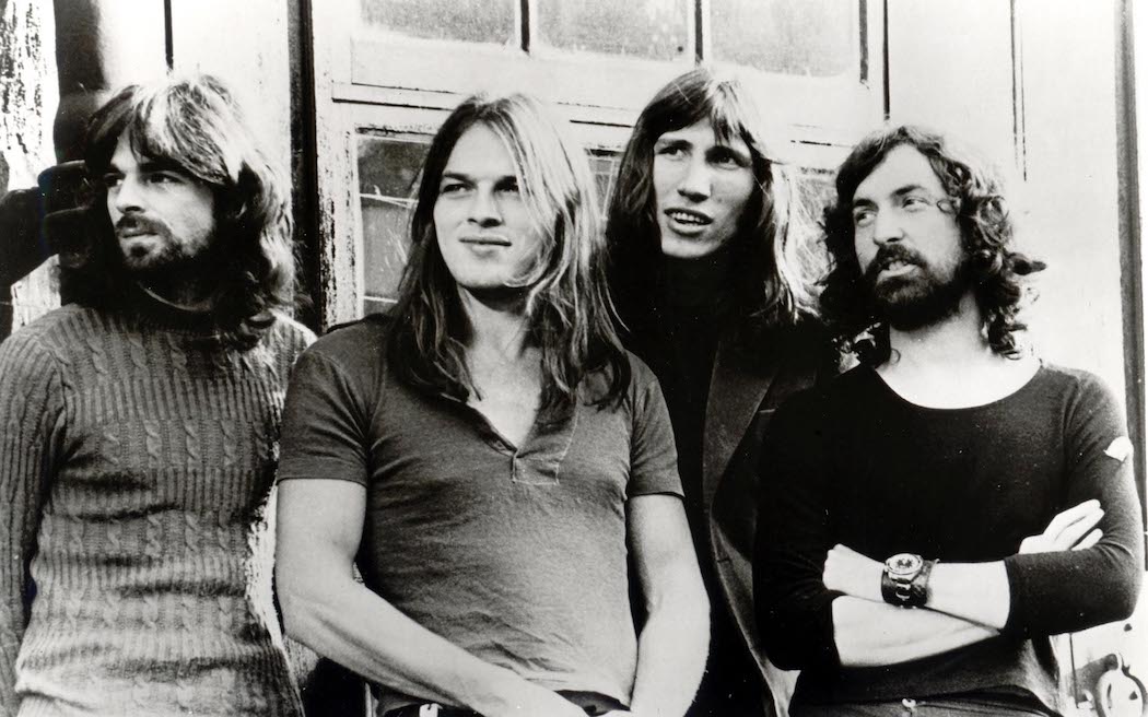Новый вид креветок-щелкунов назвались в честь группы Pink Floyd