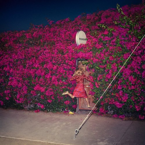 Feist — Pleasure (2017)