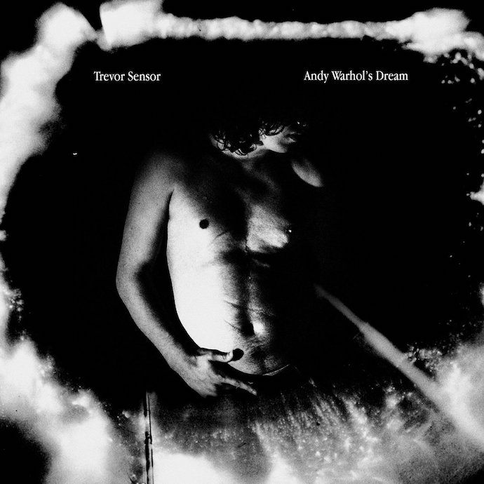 Trevor Sensor – Andy Warhol’s Dream (2017)