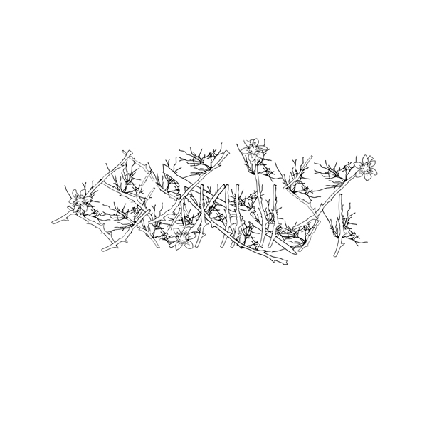 Botanist