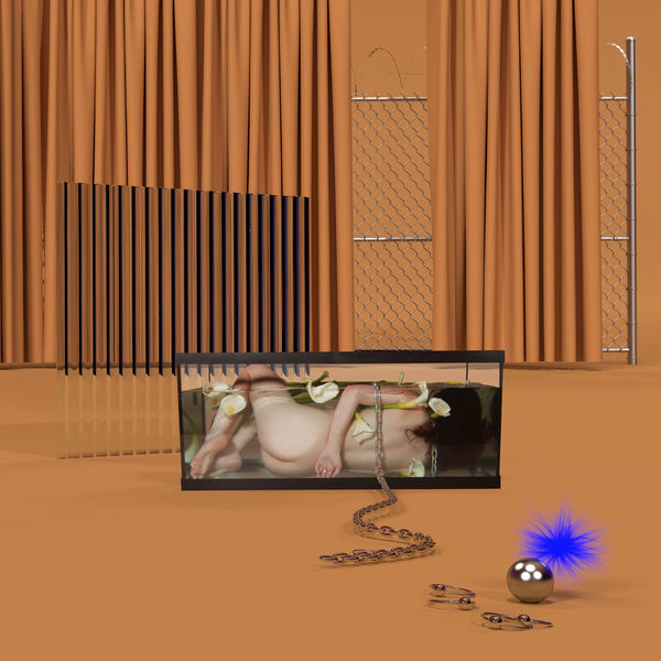 FRIGS — Basic Behaviour (2018)