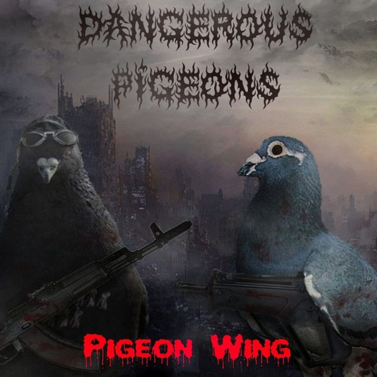 dangerous-pigeons