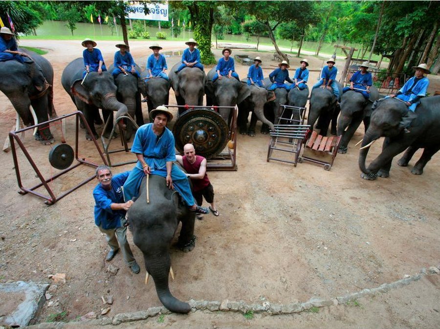 The Thai Elephant Orchestra