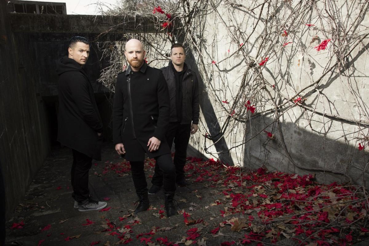 Red выпустили кавер на песню Hemorrhage