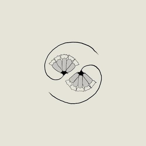 Godspeed You! Black Emperor – G_d’s Pee AT STATE’S END! (2021)