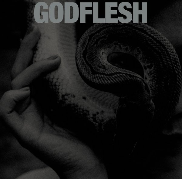 Godflesh – Purge (2023)