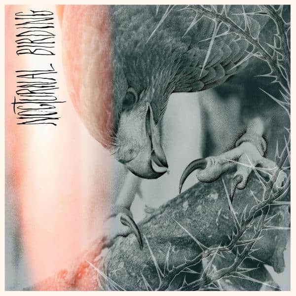 Author & Punisher – Nocturnal Birding (2025)